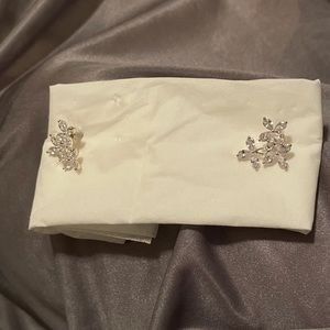 Ladies earrings